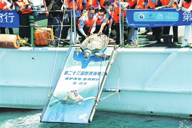 cac18f6d99924888d2eeee54c5b4d6eb_0524001_006_01_s.jpg
