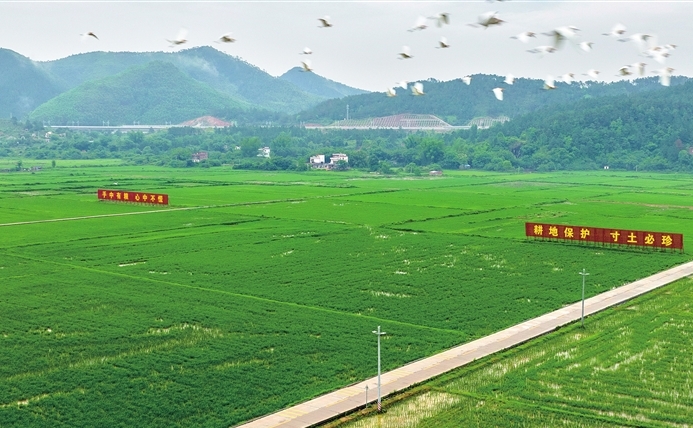a203431ea32a7a9fc0693e6d9e3f742f_0616003_001_03_s.jpg